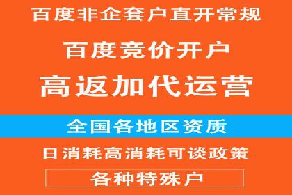 百度广告投放策略与效果评估案例